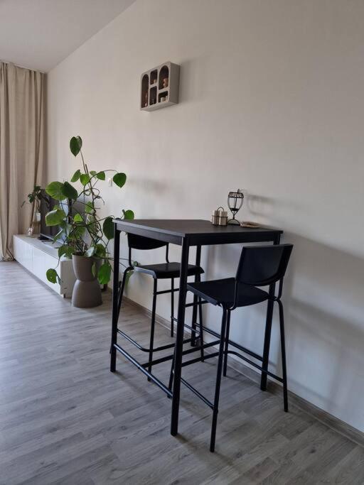 V Meste Apartment Pressburg