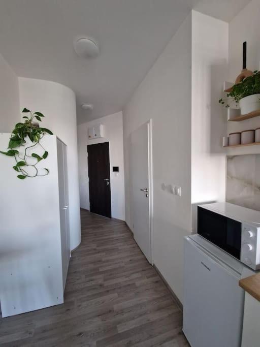 V Meste Apartment Pressburg
